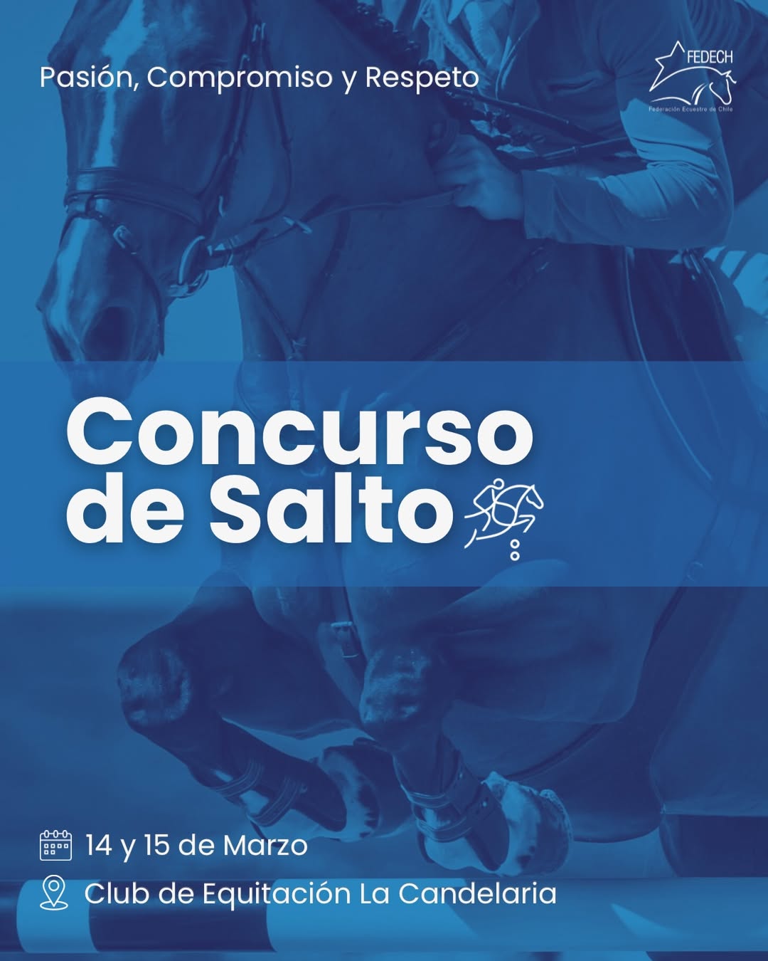 CONCURSO DE SALTO
