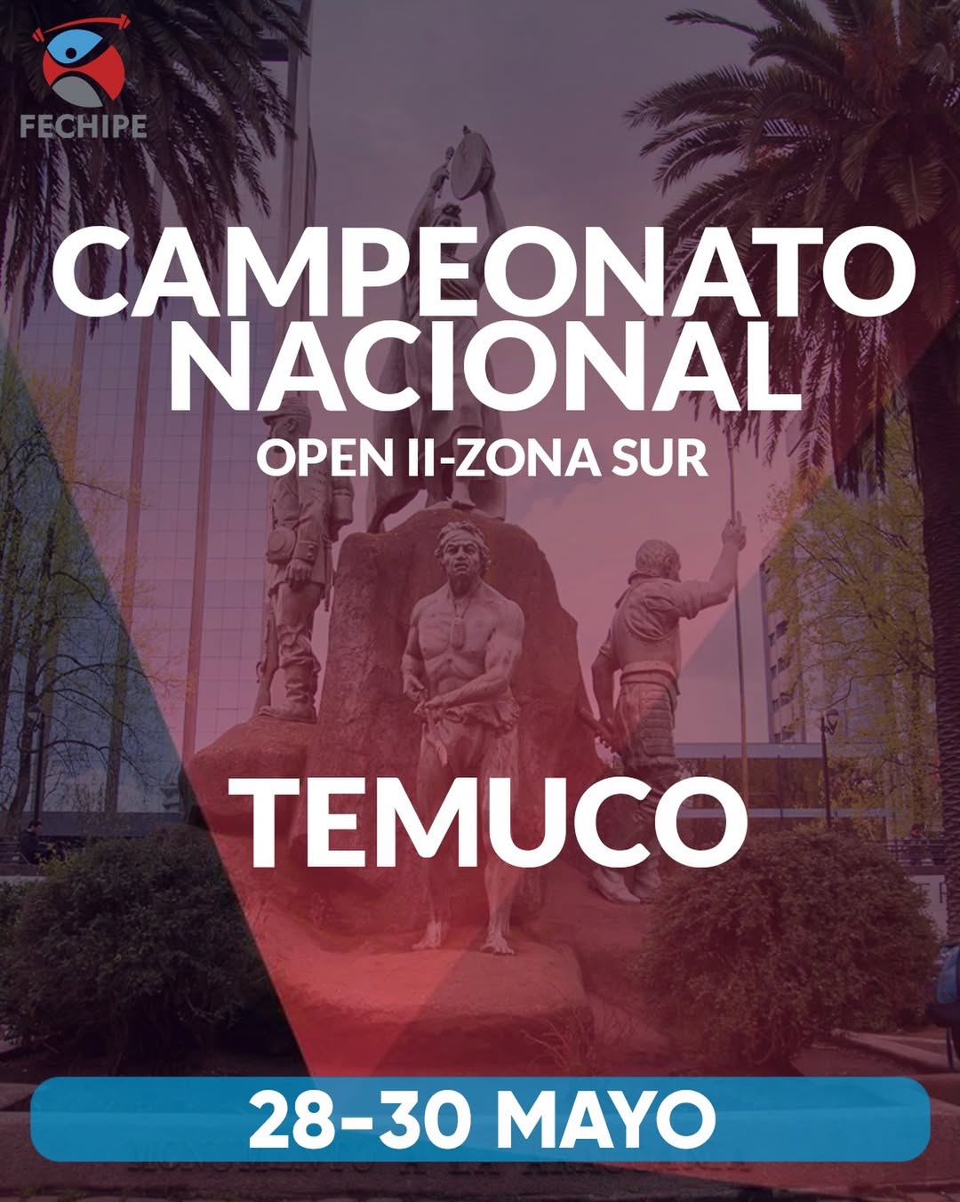 CAMPEONATO NACIONAL OPEN II – ZONA SUR